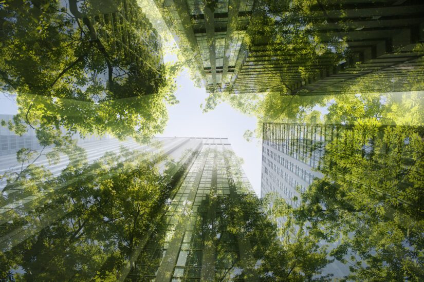 Sustainable fiber shown as an abstract image of a forest superimposed over a city.