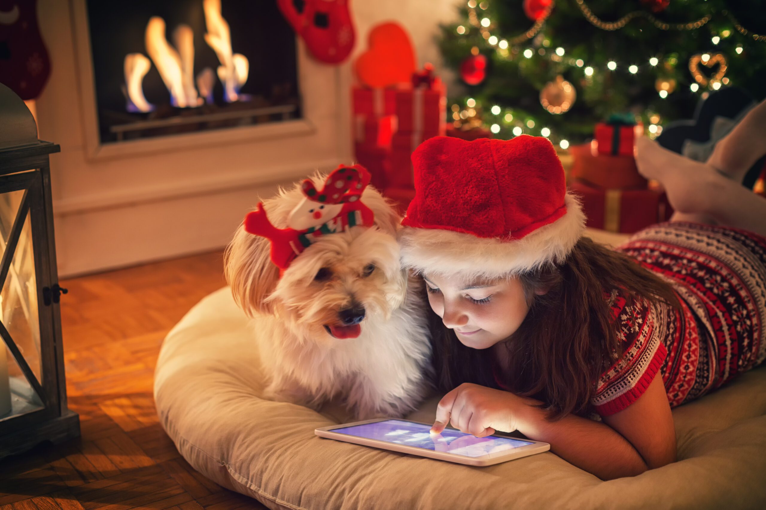 Little girl playing games with dog during the holidays