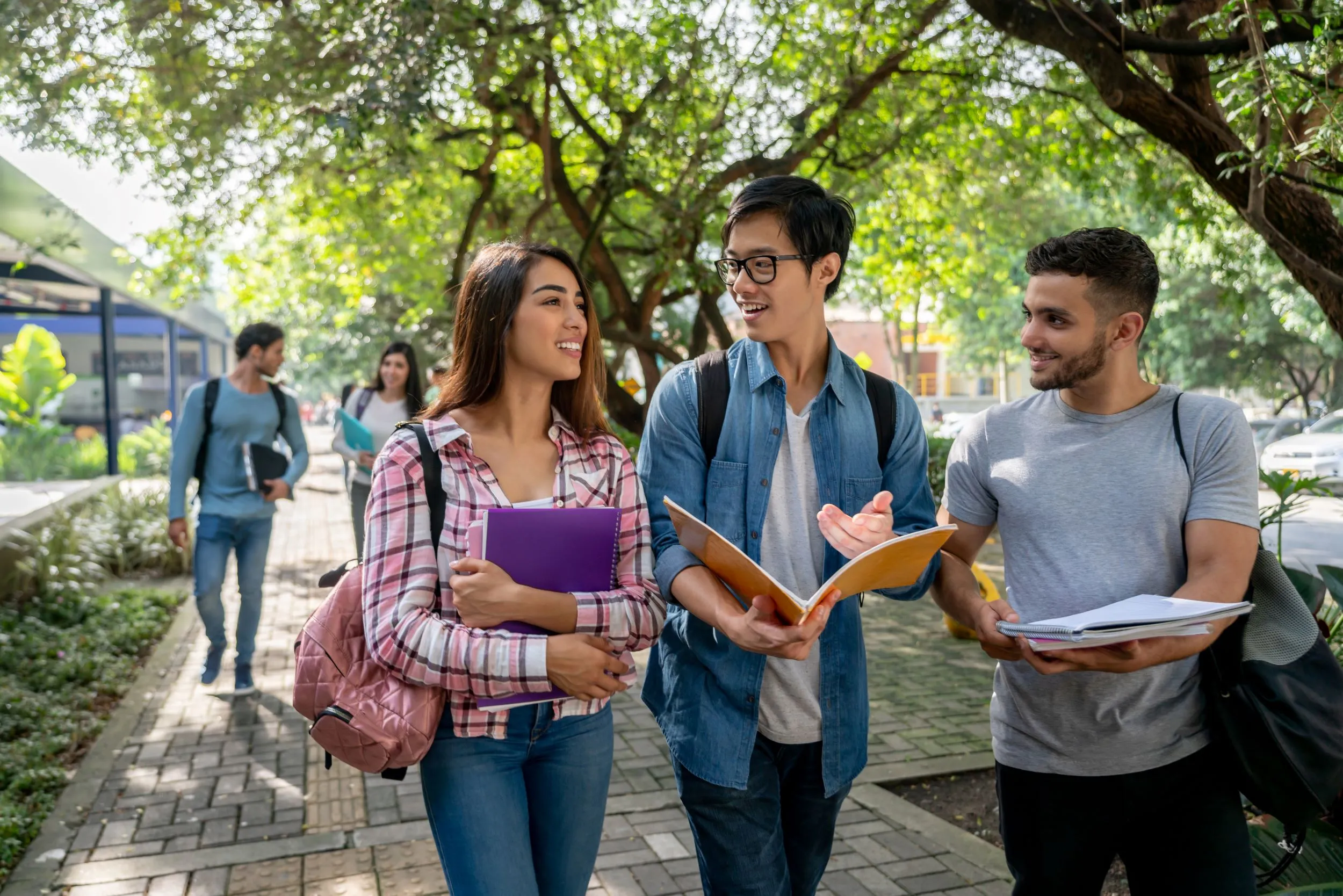 College Students Walking on Campus