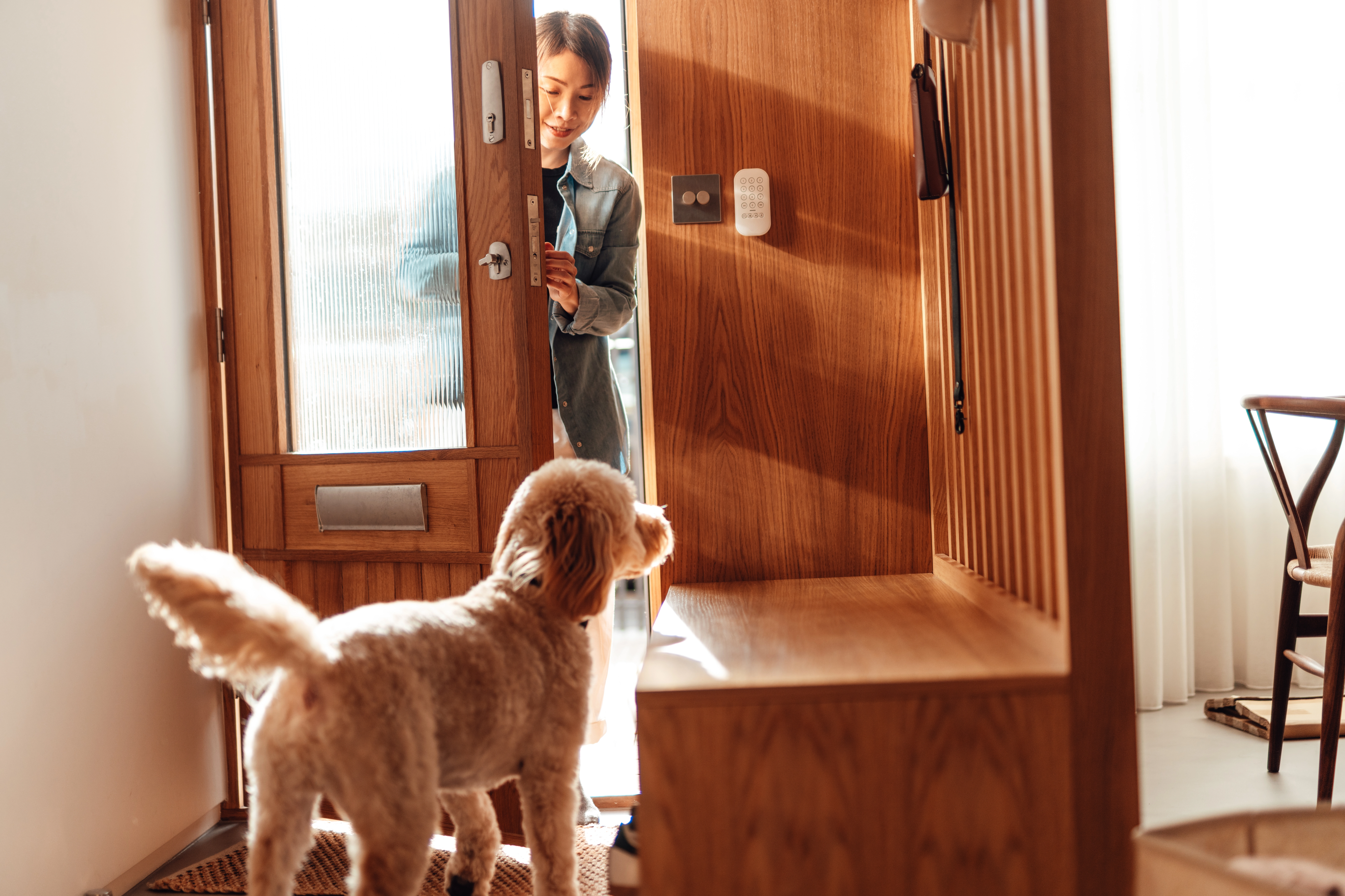 doggy-left-at-home-alone