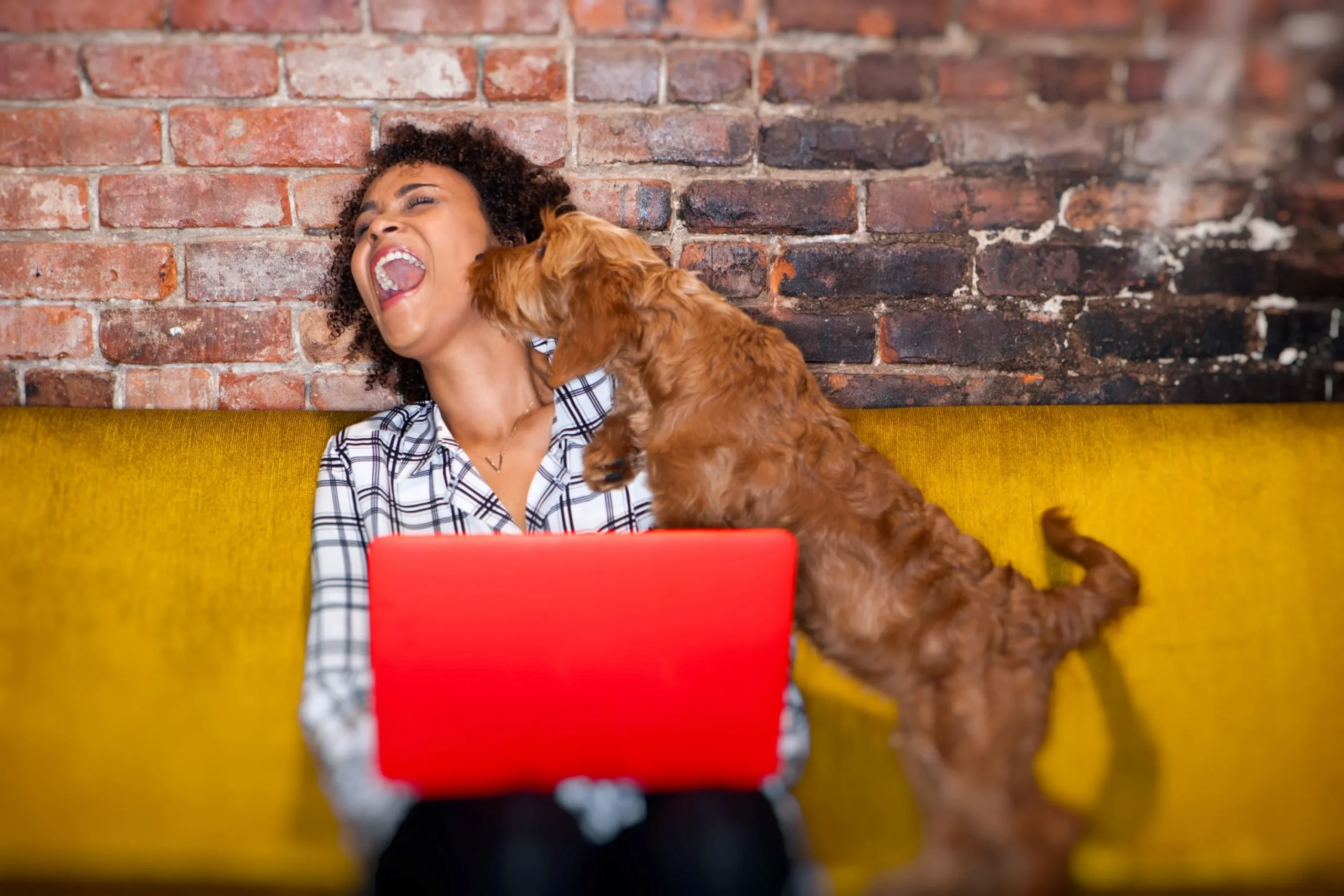 happy-pup-with-owner