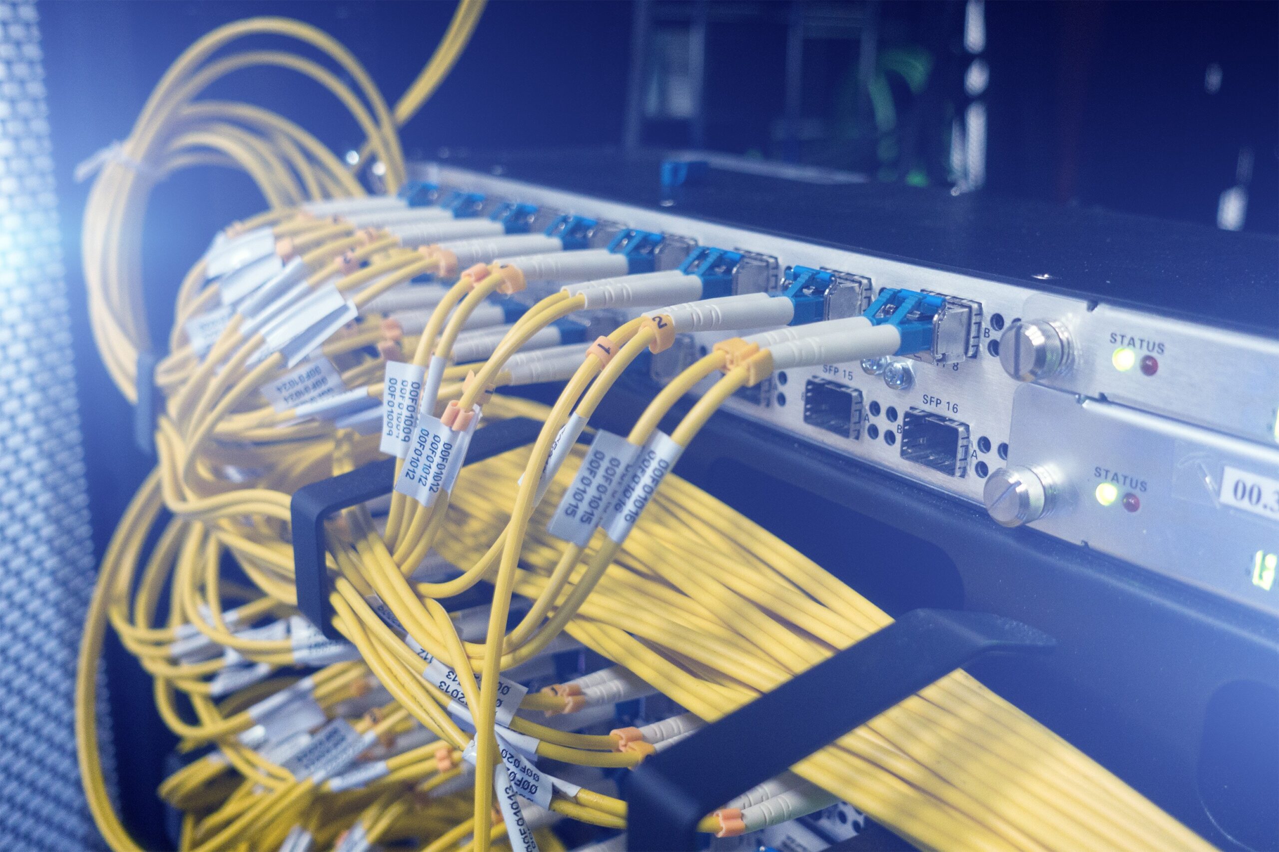 Fiber fueling small business AI Fiber fueling small business AI